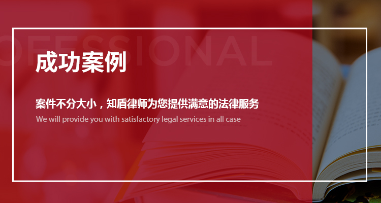 成功案例